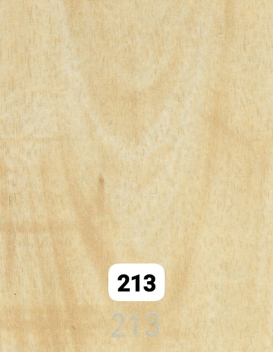 ART 213 
