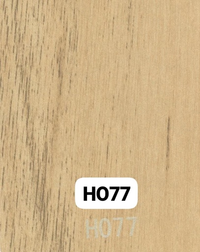 ART H077 